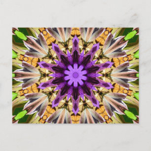 CLEMATIS VYKORT