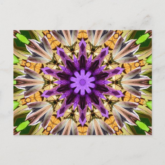 CLEMATIS VYKORT (Framsida)