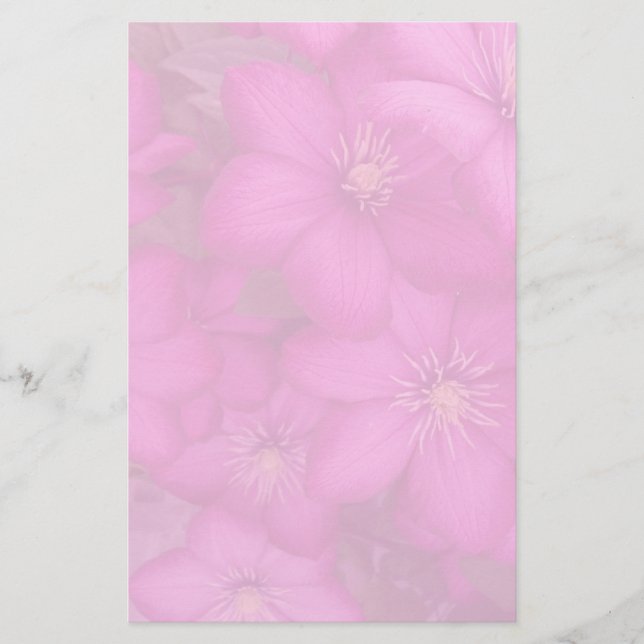 clematisbrevpapper brevpapper (Framsida)