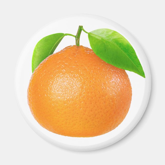 Clementine Magnet (Framsidan)