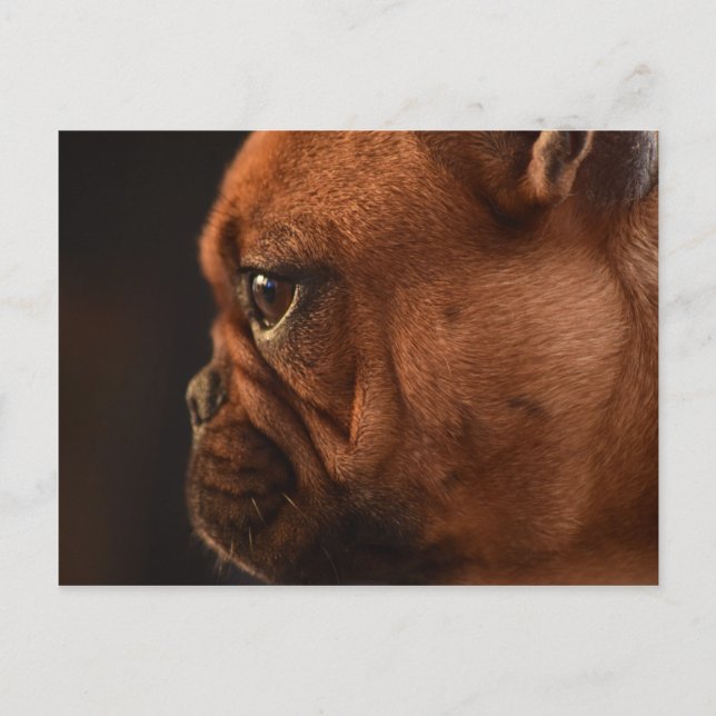 Clémentine Vykort (Framsida)