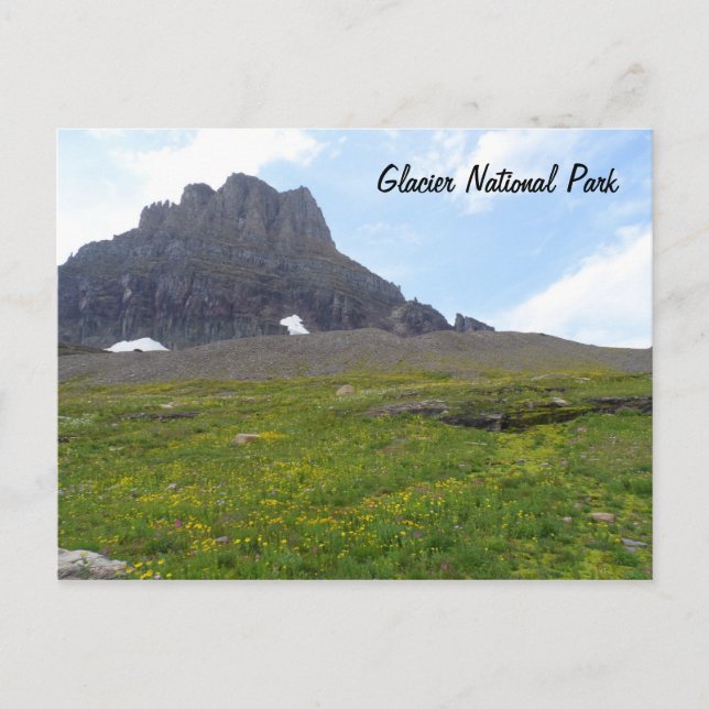 Clements Mountain - Glacier National Park Vykort (Framsida)