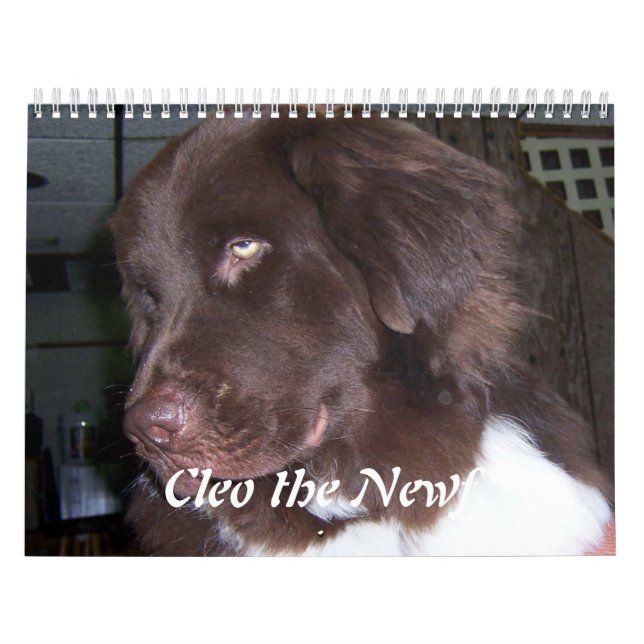 Cleo den Newfoundland hunden Kalender (Omslag)