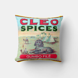 Cleo Spices Pillow Kudde