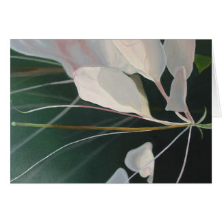 Cleome Hälsningskort