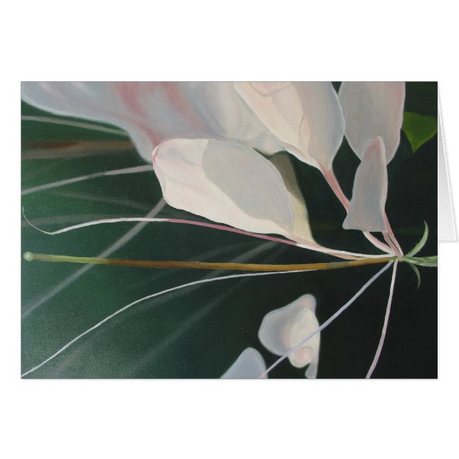 Cleome Hälsningskort (Framsidan Horizontal)