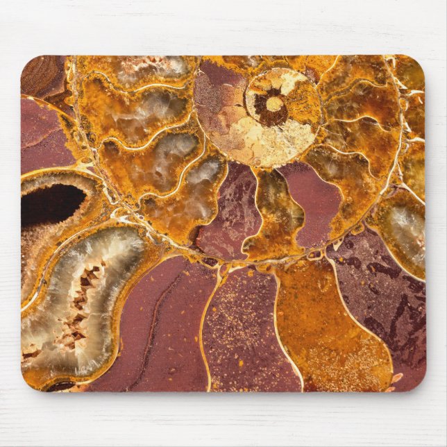 Cleoniceras Musmatta (Framsidan)