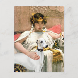 Cleopatra och vit whippet vykort