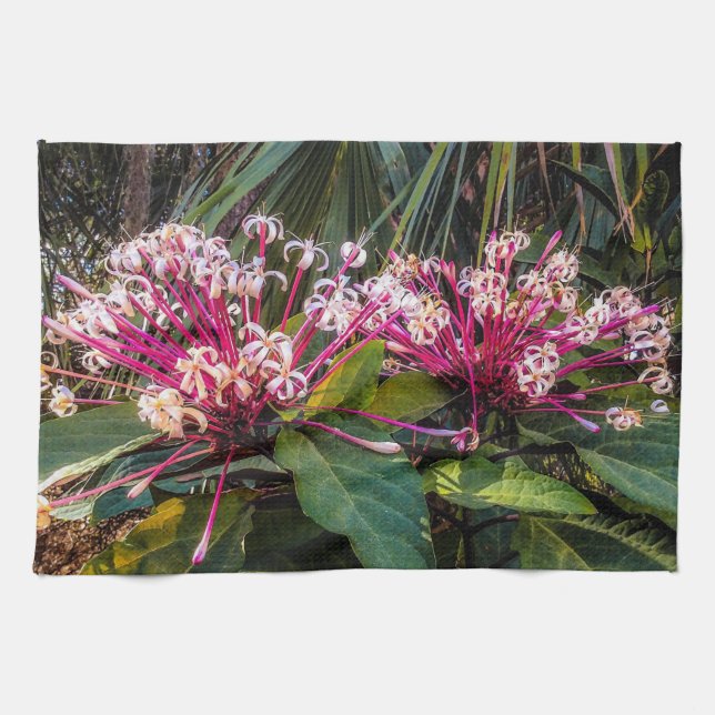 Clerodendrum Starburst Flowers Kitchen Towels Kökshandduk (Horisontell)