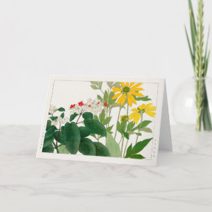Clerodendrum thomsoniae, Rudbeckia, Tanigami Konan Kort