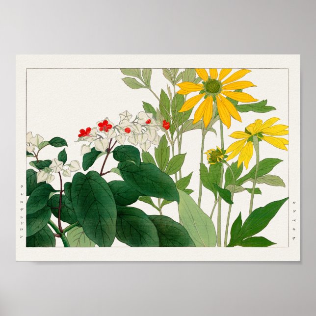 Clerodendrum thomsoniae, Rudbeckia, Tanigami Konan Poster (Framsidan)