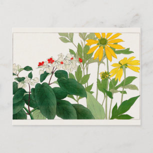 Clerodendrum thomsoniae, Rudbeckia, Tanigami Konan Vykort