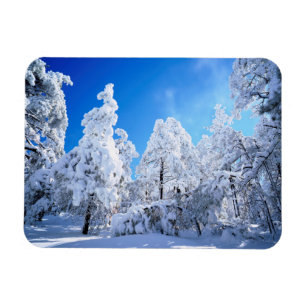 Cleveland National Forest Magnet