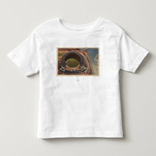 Cleveland OH - antenn av kommunal baseball Tee Shirt