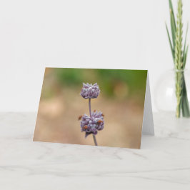 Cleveland vis man kort