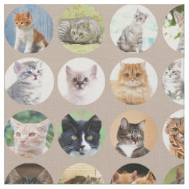 Clever Cats Fabric Tyg