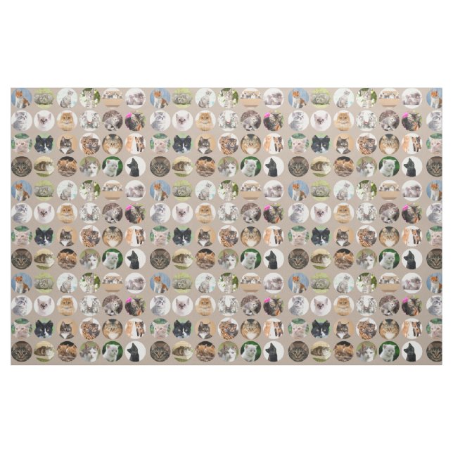 Clever Cats Fabric Tyg (Fat Quarter)
