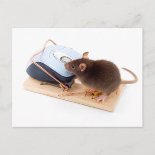 Clever Mouse Vykort