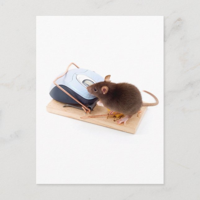 Clever Mouse Vykort (Framsida)
