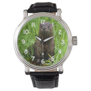 Clever Otter Armbandsur
