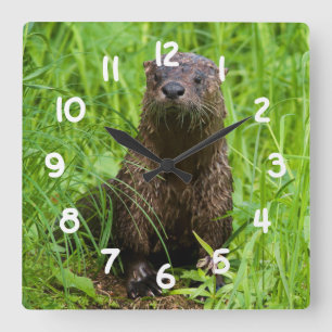 Clever Otter Fyrkantig Klocka