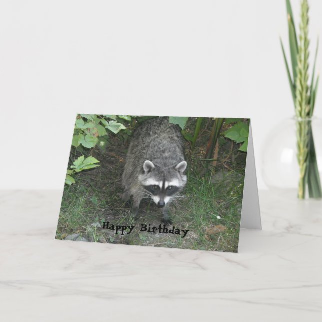 Clever Raccoon Birthday Hälsning Kort (Framsida)