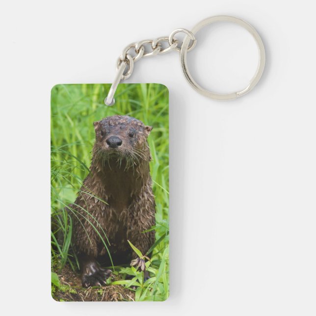 Clever River Otter (Baksidan)