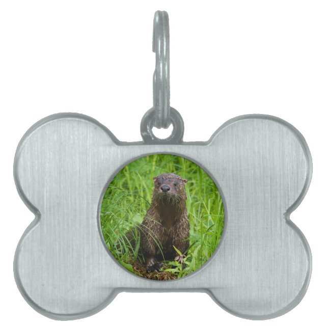 Clever River Otter ID-bricka Husdjur (Framsidan)