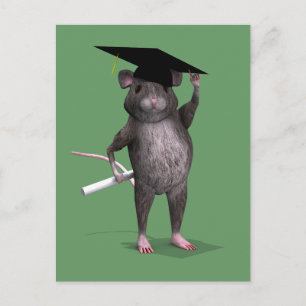 Clever Studenten Råtta Meddelande Vykort
