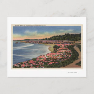 Cliff Drive View of Ocean, Beach & Flowers Vykort