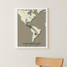 Cliff Sväljer migrering Karta - minimal Vintage