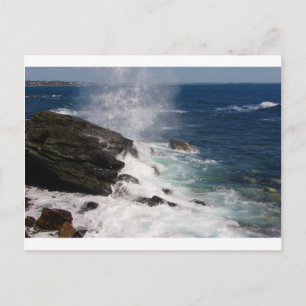 Cliff Walk på Newport, RI Vykort