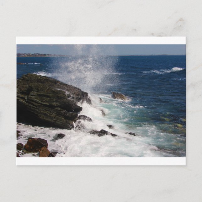 Cliff Walk på Newport, RI Vykort (Framsida)