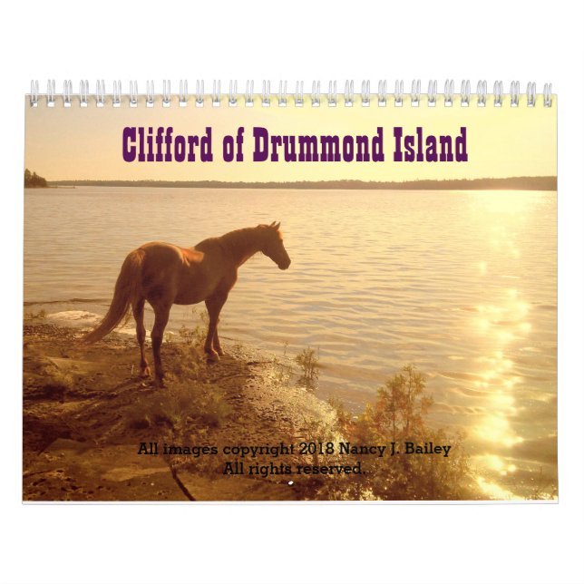 Clifford 2019 kalendern för Morgan hästvägg Kalender (Omslag)