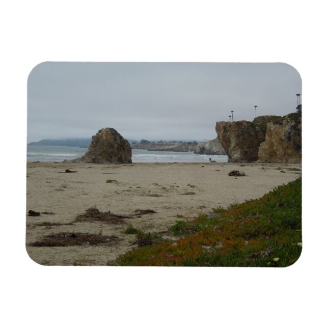 Cliffs Along Pismo Beach Shoreline Magnet (Horisontell)