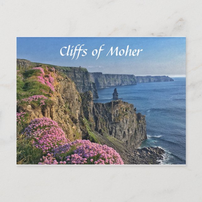 Cliffs of Moher, Ireland, Flowers Postcard Vykort (Framsida)