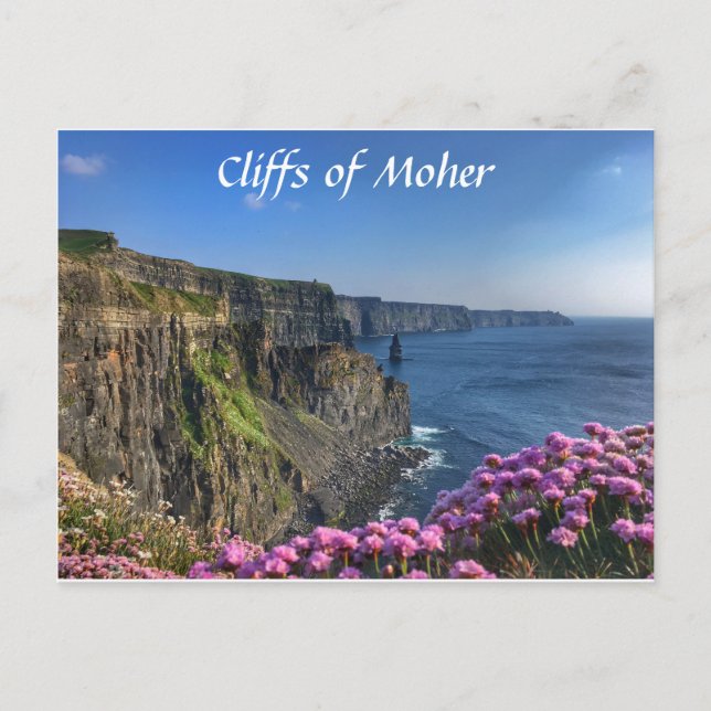 Cliffs of Moher, Ireland, Flowers Postcard Vykort (Framsida)