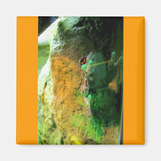 Climate Frog CB Magnet (Framsidan)