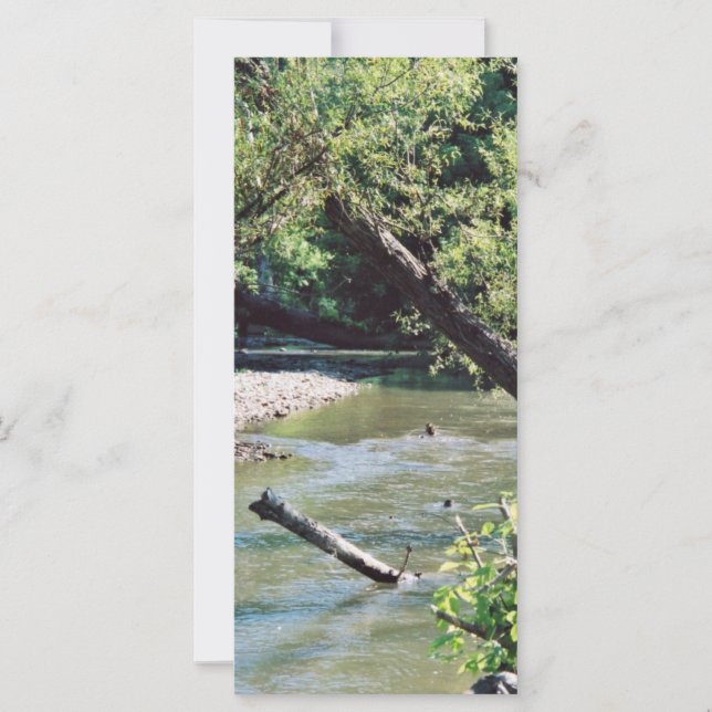 Clinch River Scenne (Framsida)