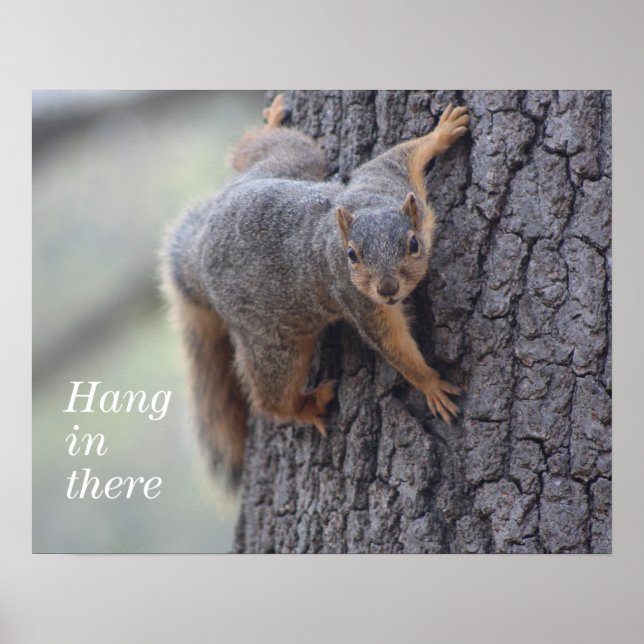 Clinging Squirrel Poster (Framsidan)