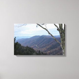 Clingmans Dome Smoky Mountains Canvastryck