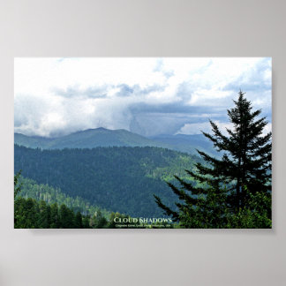 Clingmans Dome, Underbar Smokies, USA Poster