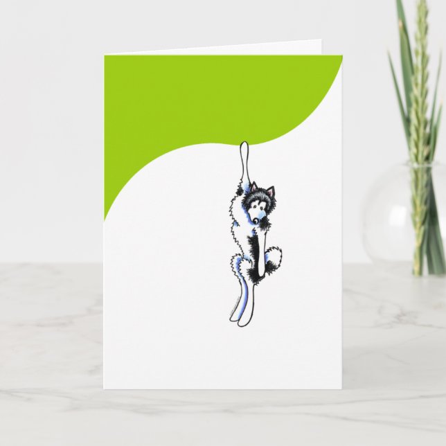 Clingy alaskabo Malamute Kort (Framsida)