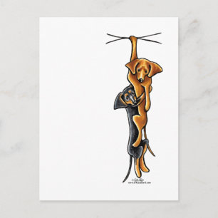 Clingy Dachshunds Vykort