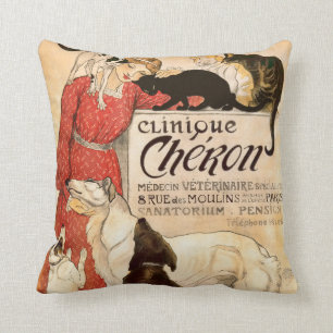 CliniqueCheron Paris veterinär- annonsering Kudde