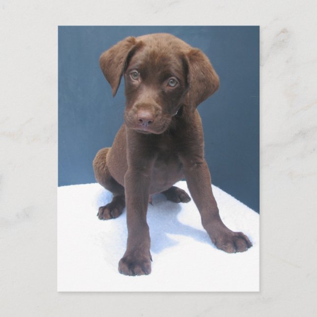 Clint Vykort (Framsida)