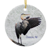 Clinton, NJ Underbar Blue Heron