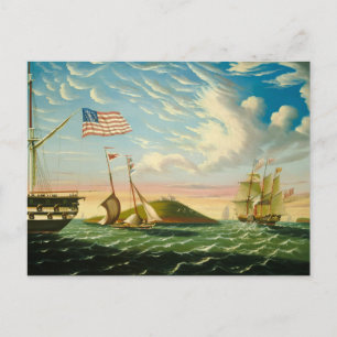 Clipper Fraktass Boston Harbour 1800s Vykort