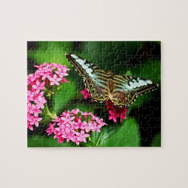 Clipper på Pentas 1 Puzzle Pussel (Horisontell)