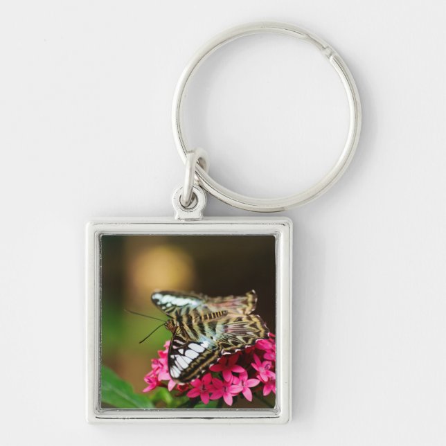 Clipper på Pentas 3-nyckelkedjan Fyrkantig Silverfärgad Nyckelring (Framsidan)